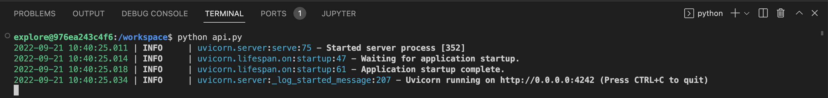 Result of running the API in a new project